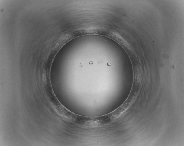 X0000072990213200608041316