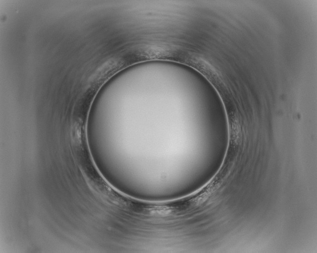 X0000072990214200608041316