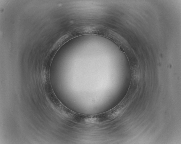 X0000072990216200608041316