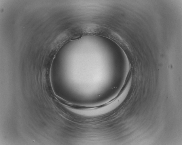 X0000072990217200608041316