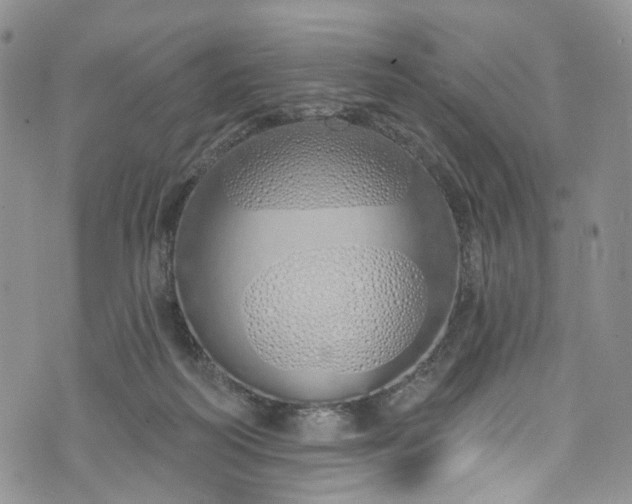 X0000072990218200608041316