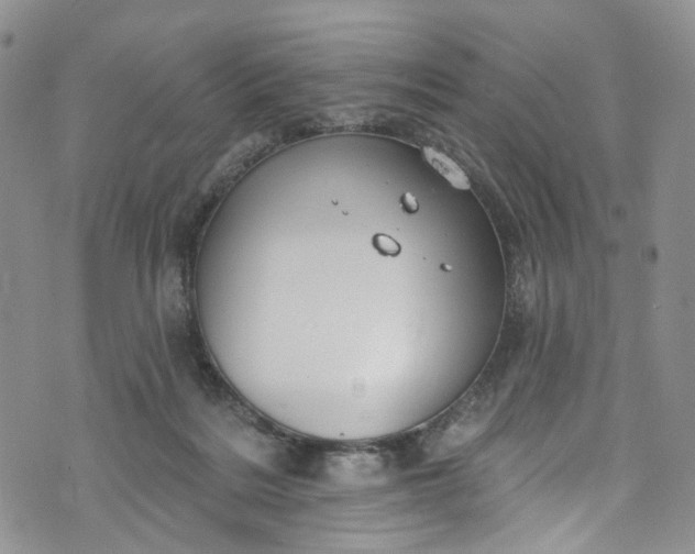 X0000072990220200608041316