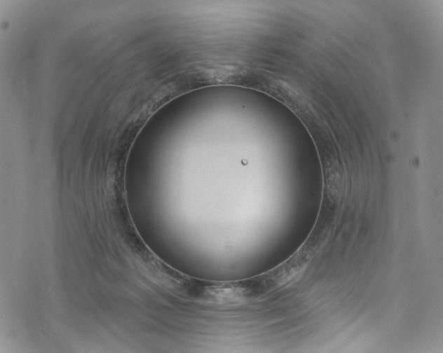 X0000072990221200608041316