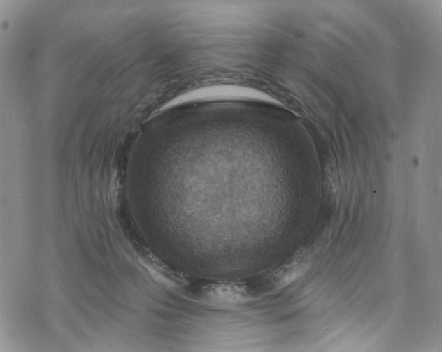 X0000072990223200608041316