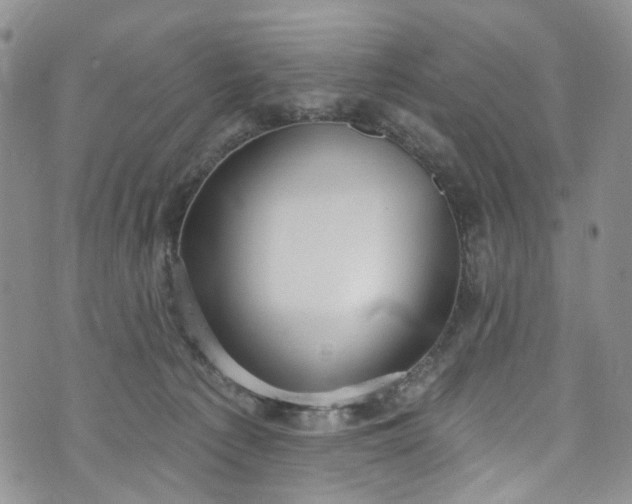 X0000072990225200608041316