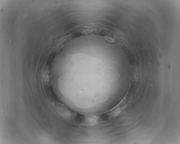 X0000072990226200608041316