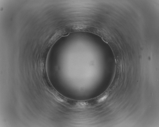 X0000072990227200608041316