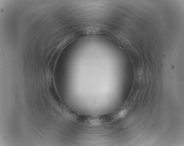 X0000072990228200608041316