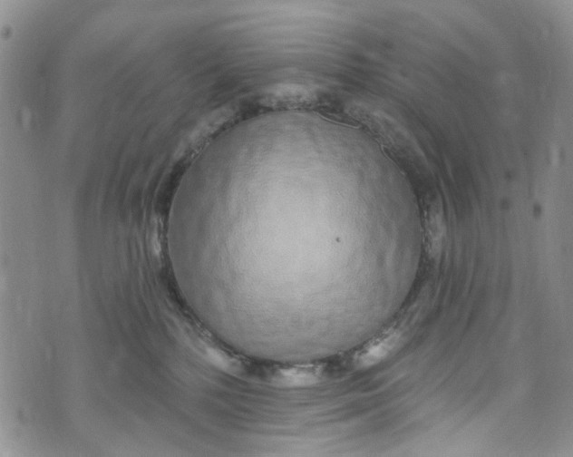 X0000072990232200608041316