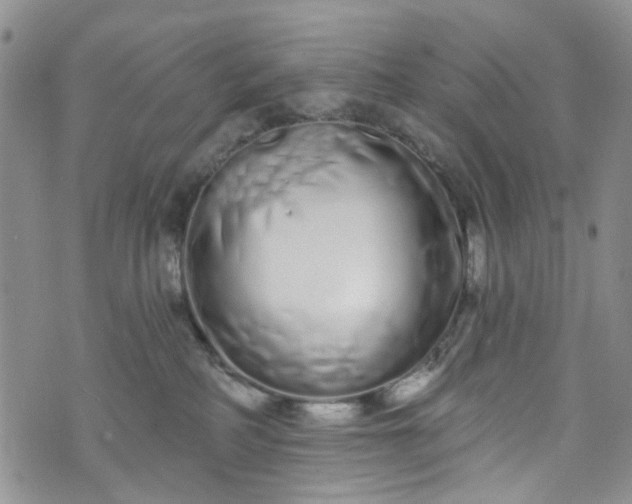 X0000072990234200608041316