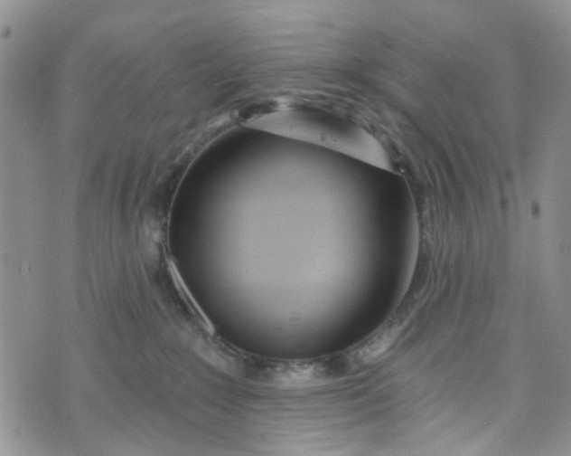 X0000072990235200608041316