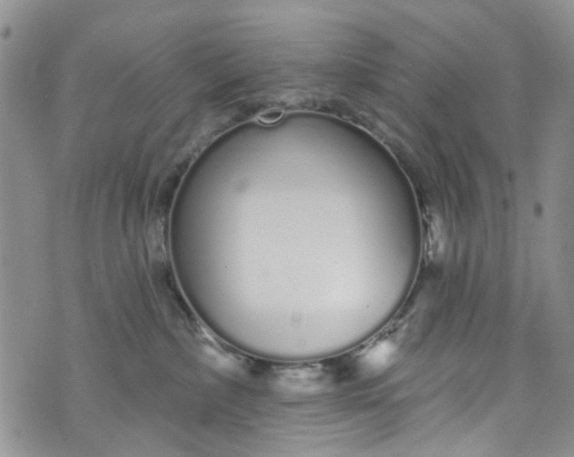 X0000072990236200608041316