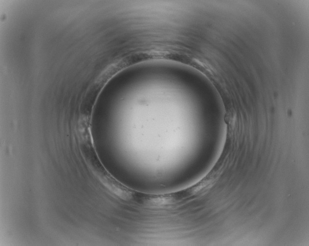 X0000072990237200608041316