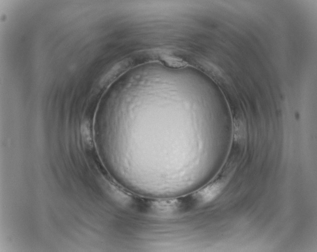 X0000072990238200608041316