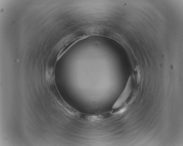 X0000072990239200608041316