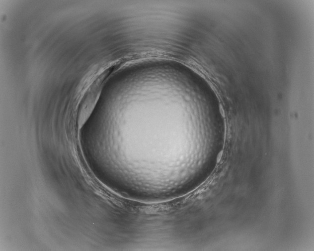 X0000072990241200608041315