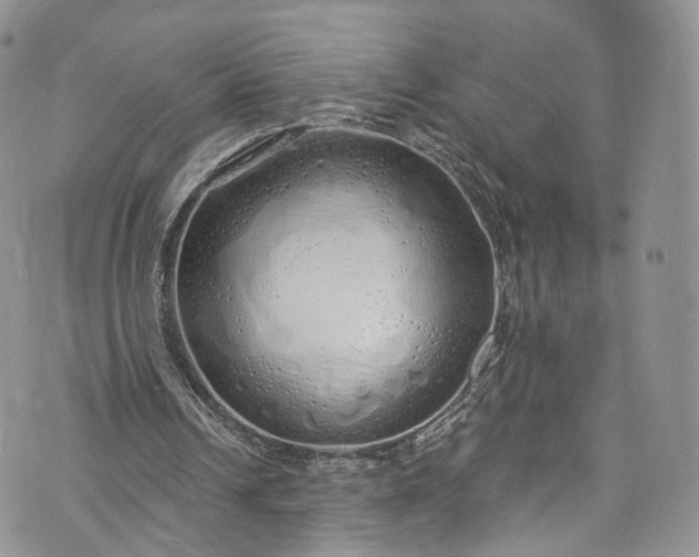 X0000072990242200608041315