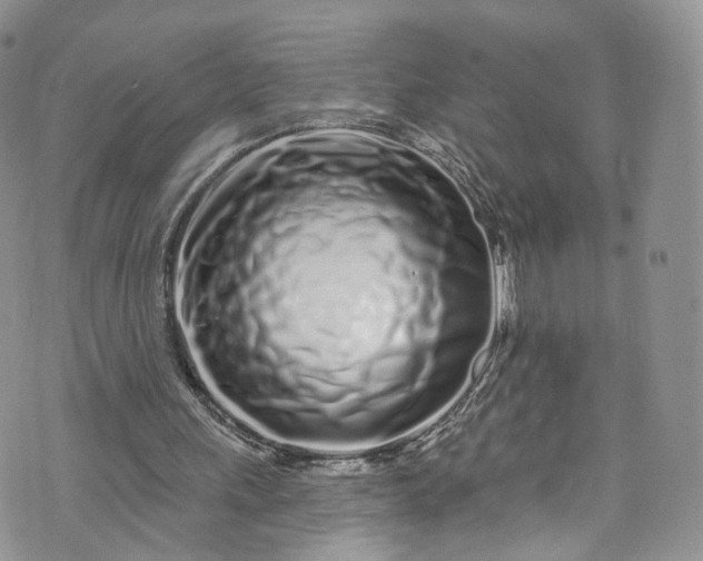 X0000072990243200608041315