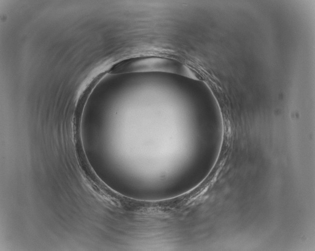 X0000072990244200608041315