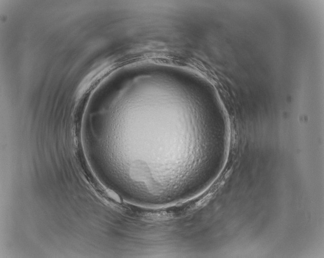 X0000072990245200608041315