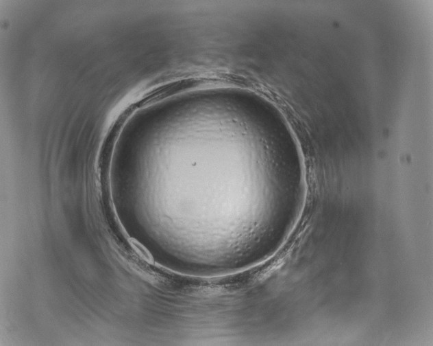 X0000072990246200608041315