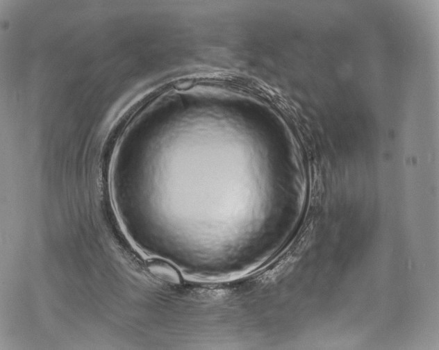 X0000072990247200608041315