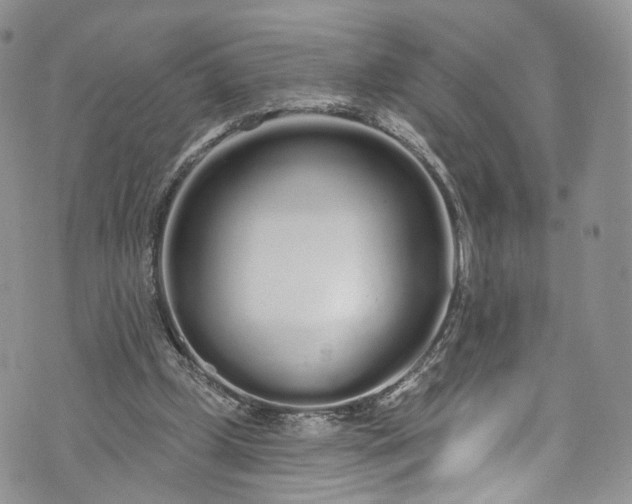 X0000072990249200608041315