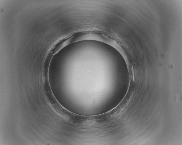 X0000072990252200608041315