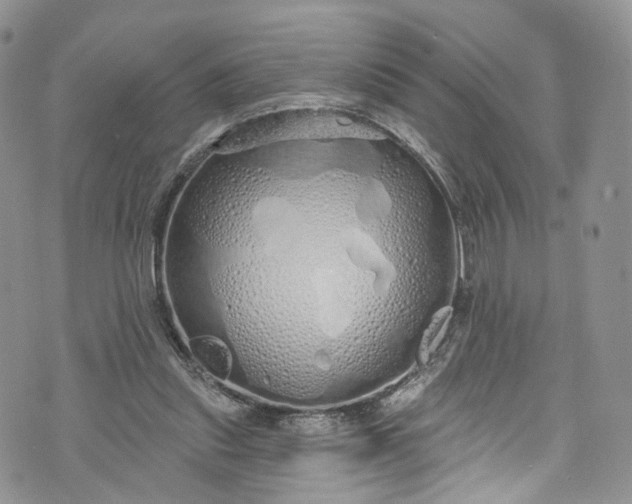 X0000072990253200608041315