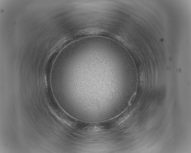 X0000072990254200608041315