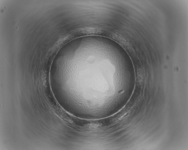 X0000072990255200608041315