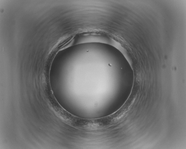 X0000072990256200608041315