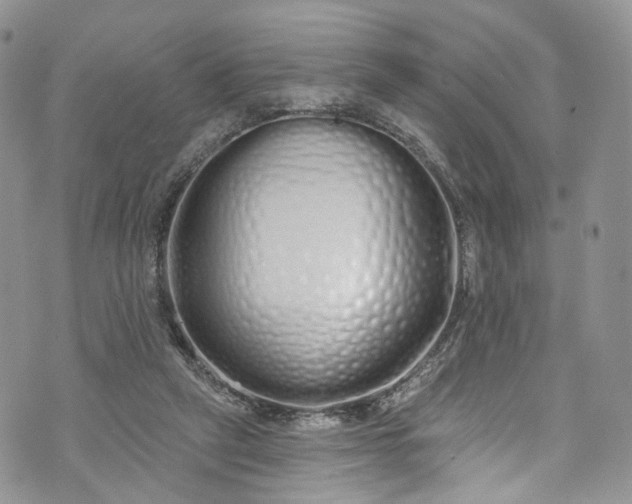 X0000072990257200608041315