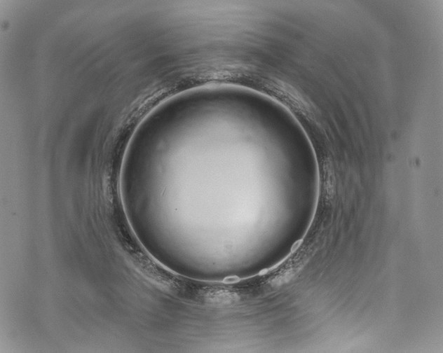 X0000072990258200608041315