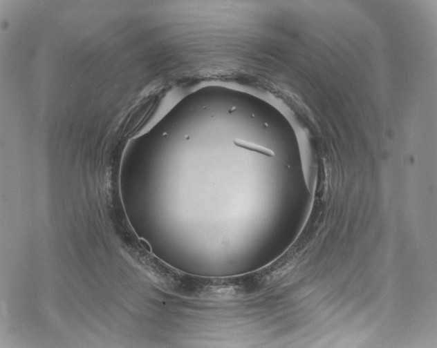 X0000072990260200608041315