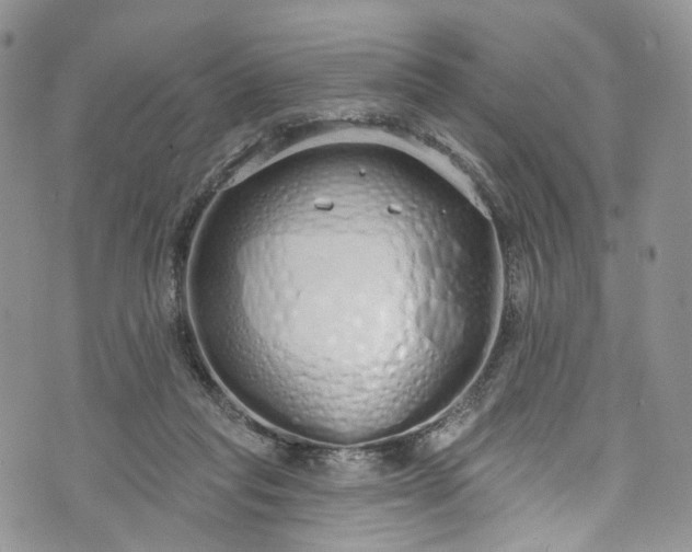 X0000072990261200608041315