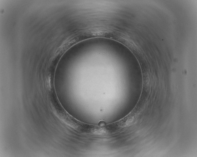 X0000072990262200608041315