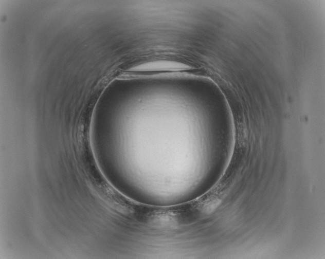 X0000072990263200608041315