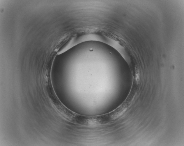 X0000072990264200608041315