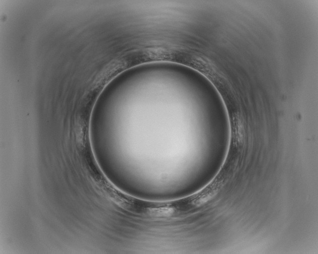 X0000072990266200608041315