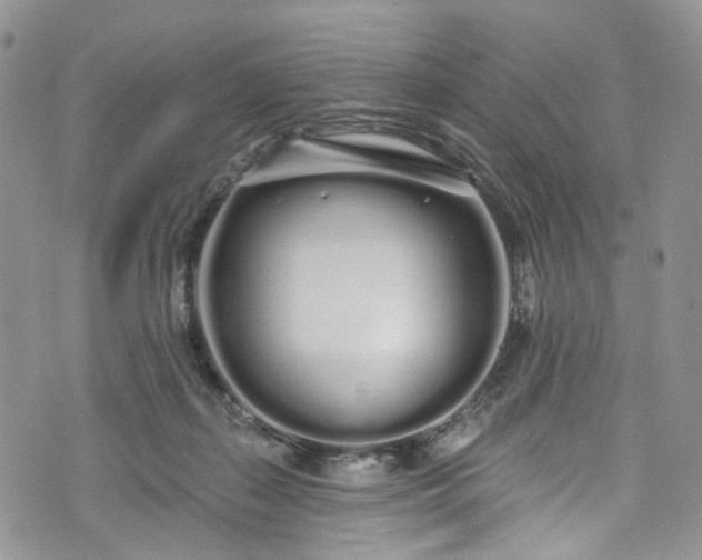 X0000072990267200608041315