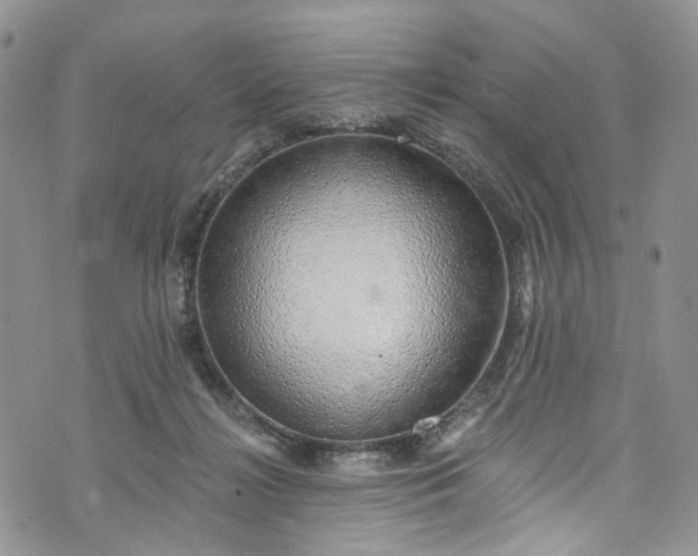 X0000072990268200608041316