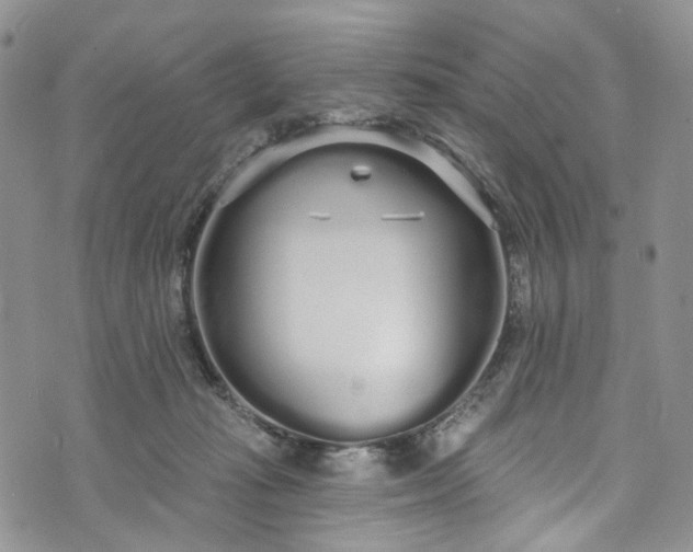 X0000072990269200608041316