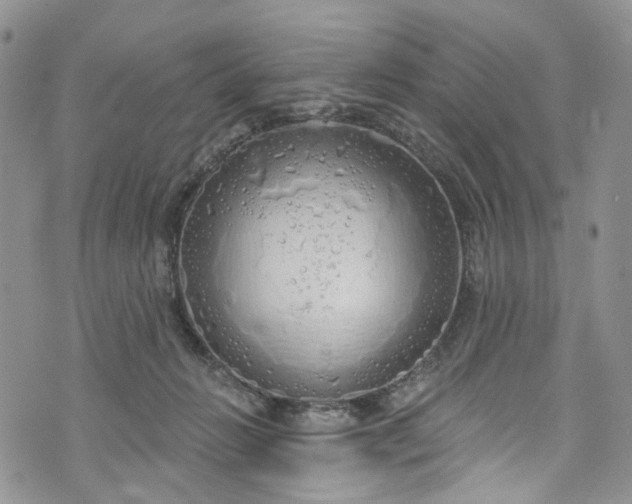 X0000072990270200608041316