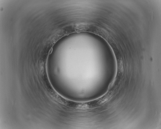 X0000072990271200608041316