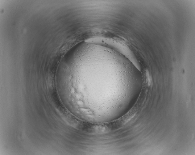 X0000072990272200608041316