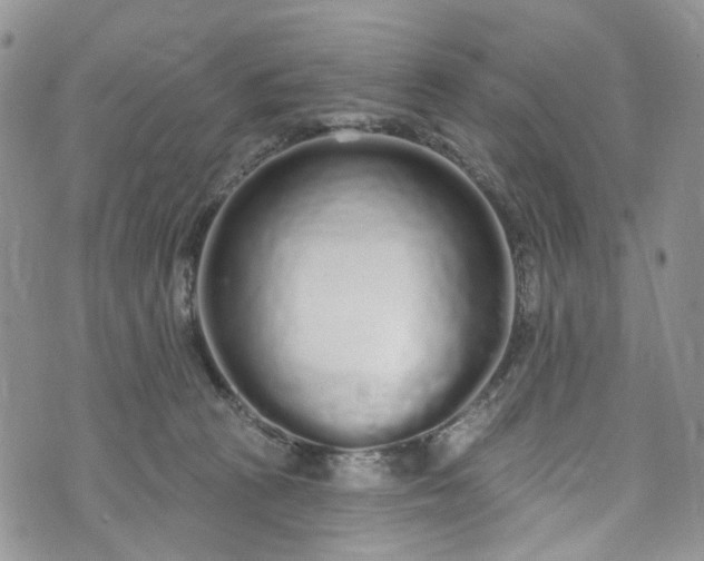 X0000072990273200608041316