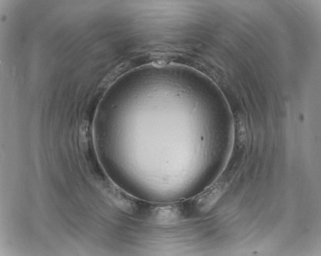 X0000072990275200608041316