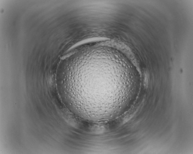 X0000072990276200608041316