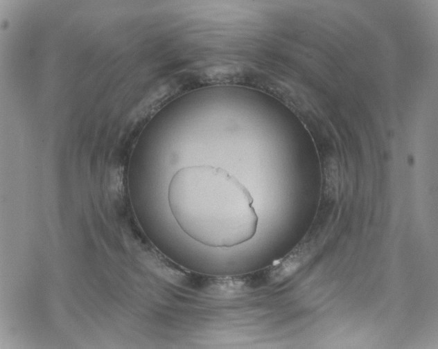 X0000072990278200608041316